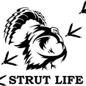 Meet your Posher, Dale